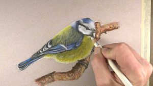 آموزش نقاشی با پاستل
